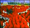 �ϴ��Ե� ��å�� ���� ��