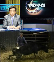 PD��ø ���캴 ���� ��ȸ�� ��ġ