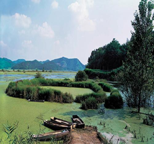 DMZ�̷����� ���