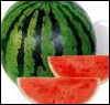 ¿©¸§Ã¶ °úÀÏ ¾Ë°í º¸´Ï º¸¾à