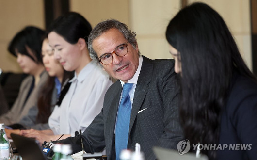 IAEA »ç¹«ÃÑÀå "ùÛ ÇÙÀá, ÇÙÈ®»ê ¾Æ´Ï¶ó´Â