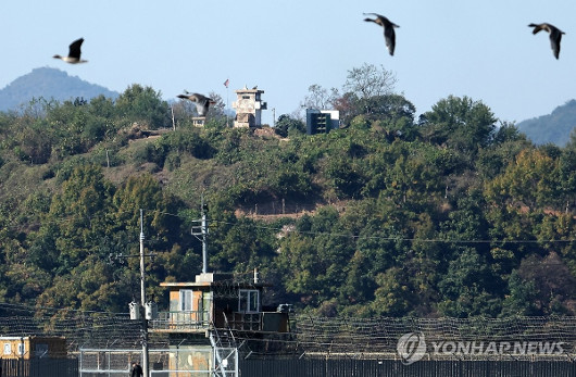 ����, �� �볲Ȯ���� �簡�� ������ "����浹 ����..